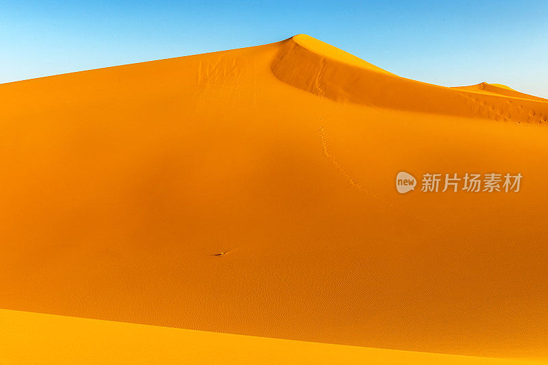 在Erg Chebbi沙漠的沙子，Merzouga，摩洛哥，北非